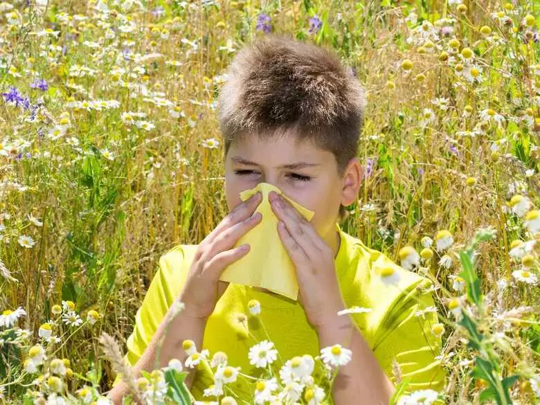 Alergia u dzieci – rodzinny test na wytrzymałość