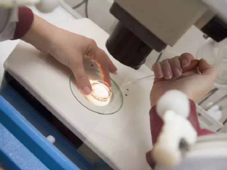 Lamblioza - przyczyny, objawy, diagnoza, leczenie