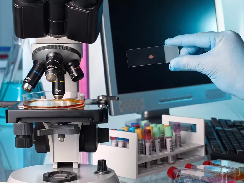 Metody badań chromosomów