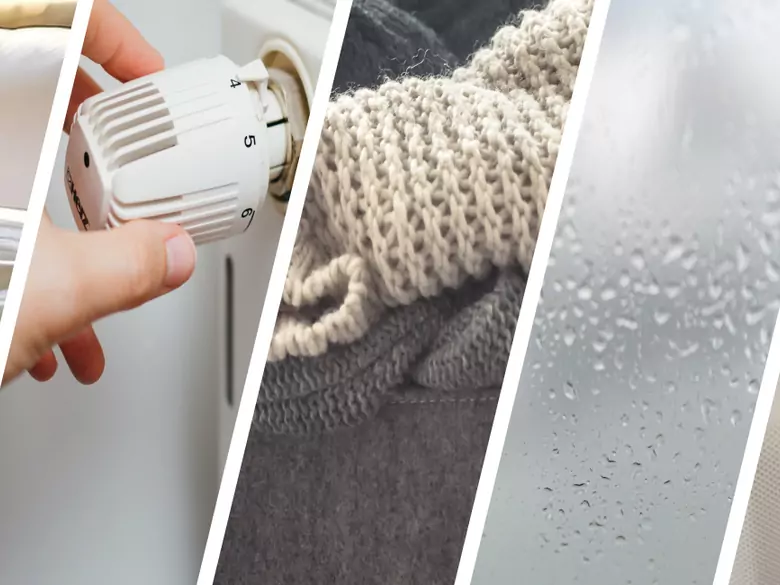 AleAlert: Zimą alergicy powinni uważać na roztocza, suche powietrze i pleśń